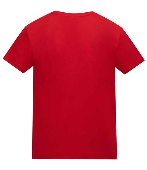 AT002B Fire Red Back