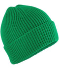 BB381B Kelly Green Front