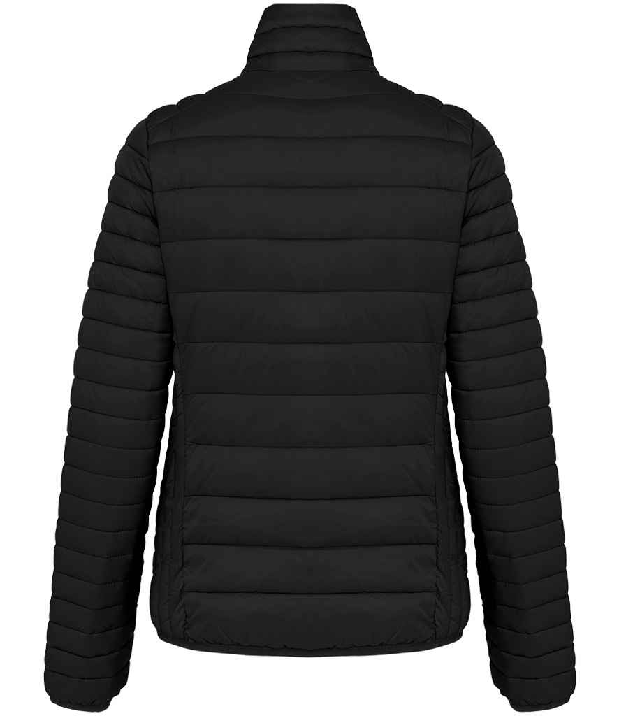 KB6121 Black Back