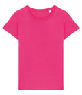 NS324 Raspberry Sorbet Front