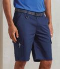 PR564 Navy Model