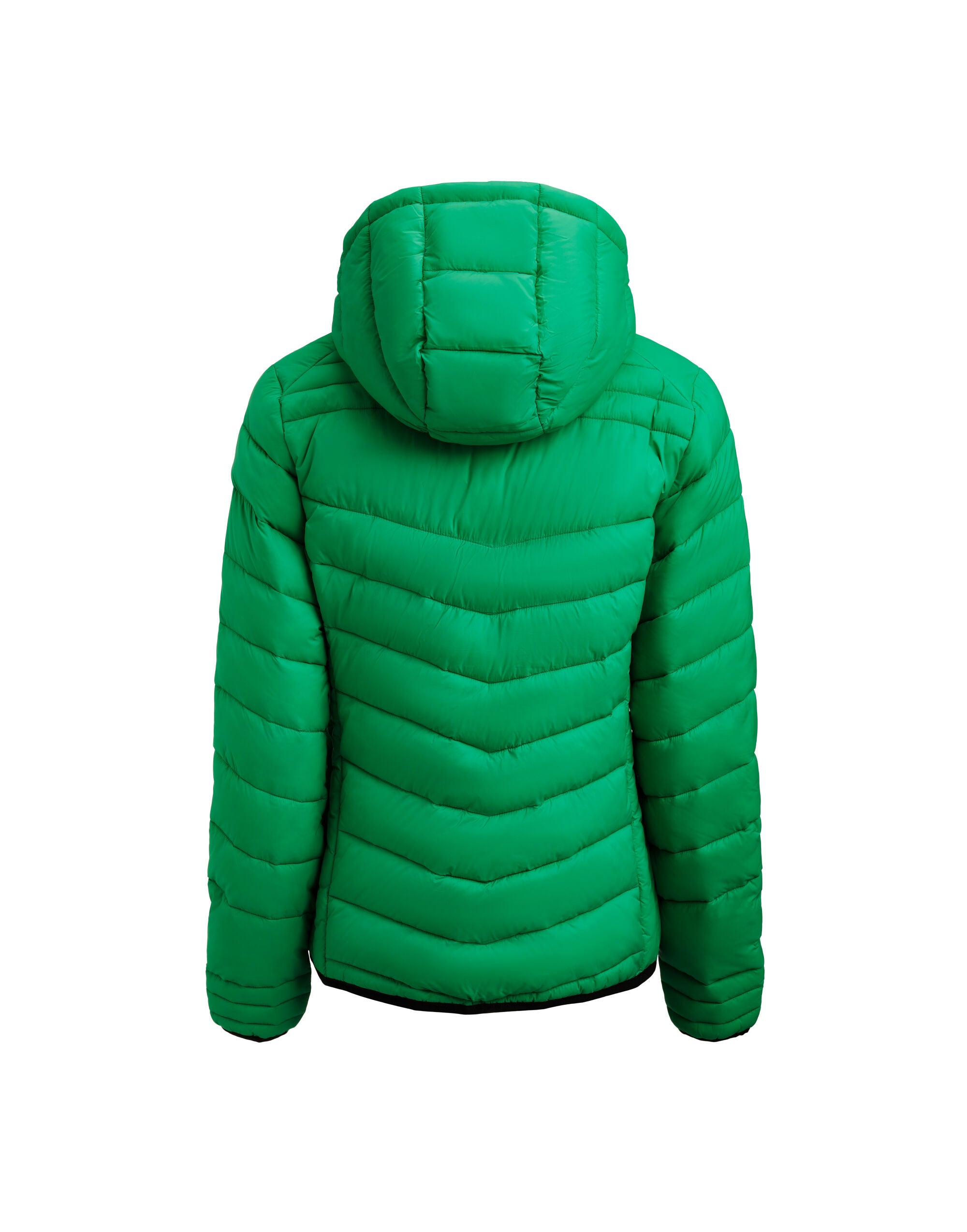 Printer Essentials Ladies Base Jacket