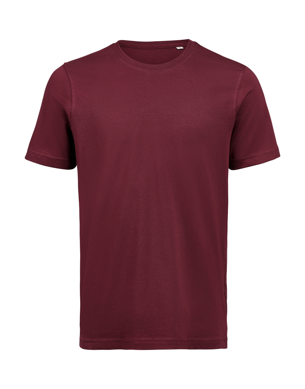 UM T-Shirt Regular Fit OCS